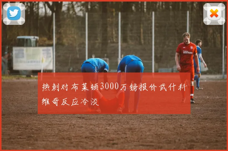 热刺对布莱顿3000万镑报价武什科维奇反应冷淡