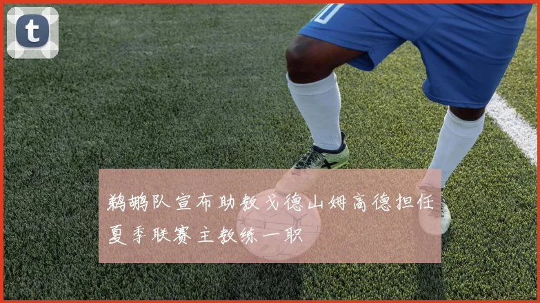鹈鹕队宣布助教戈德山姆高德担任夏季联赛主教练一职