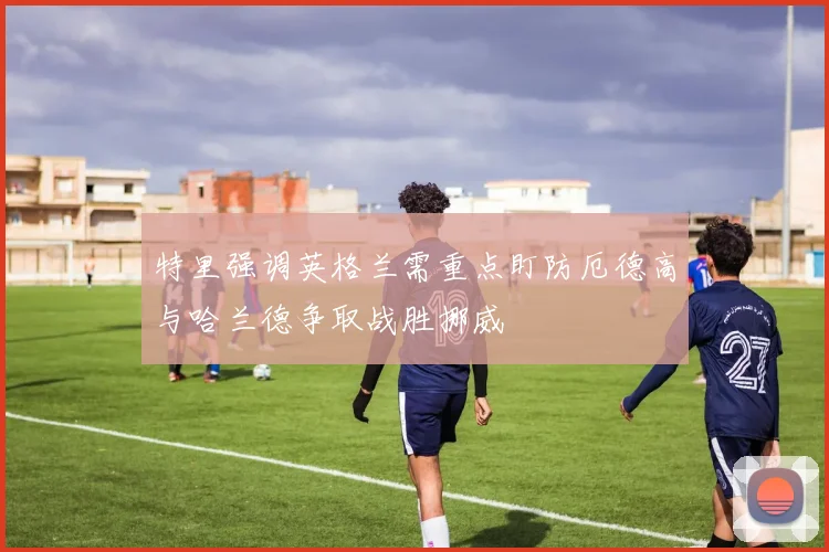特里强调英格兰需重点盯防厄德高与哈兰德争取战胜挪威